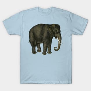 Majestic Asian Elephant with Tusks T-Shirt